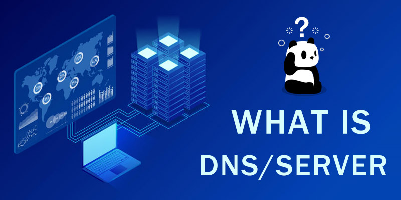 What Is DNS (Server)? Definition, Workflow & Possible Privacy Concerns