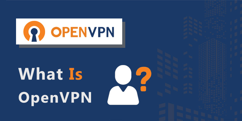 What Is OpenVPN